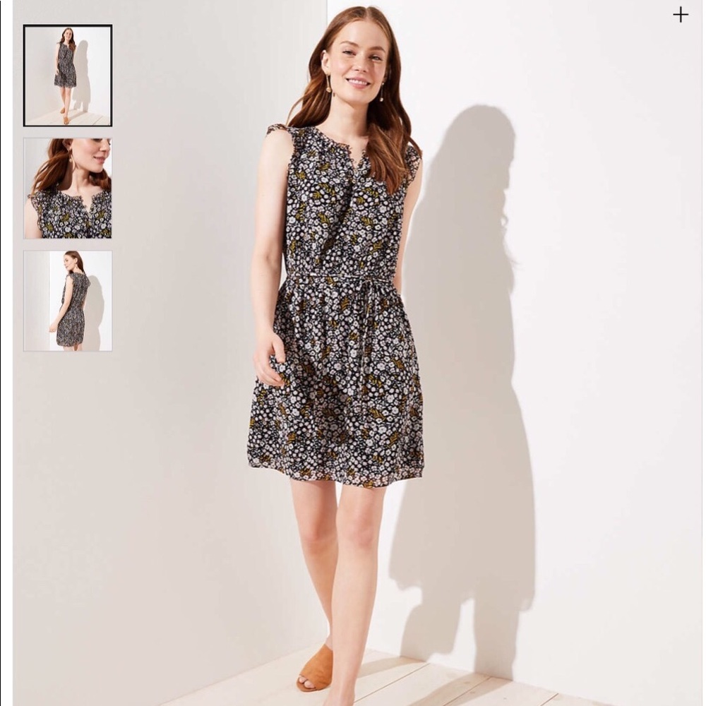 NWT Ruffle Dress